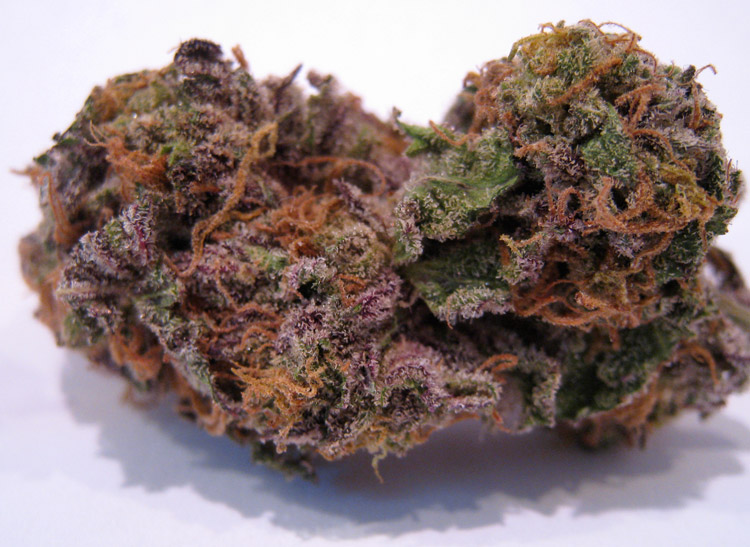 granddaddy purple weed