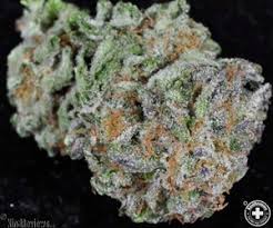 lemon skunk marijuana