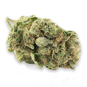 buy sour diesel